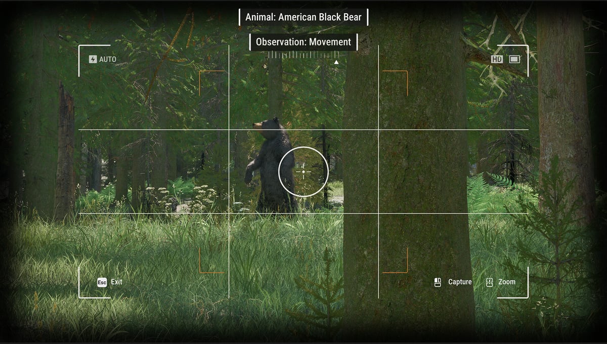 Ranger’s Path: National Park Simulator thumbnail 9