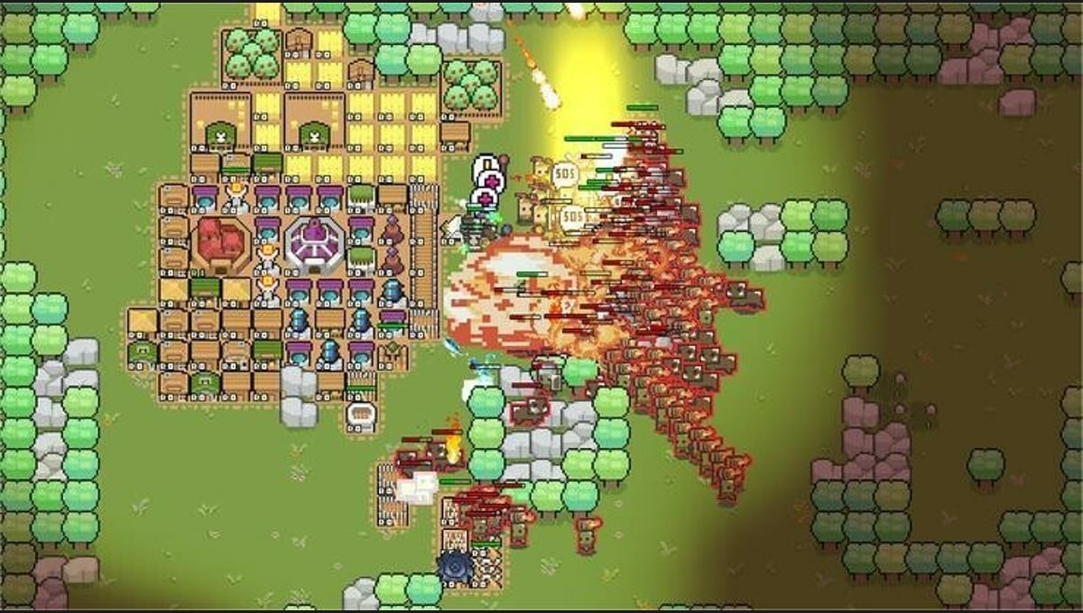 Border Pioneer thumbnail 2