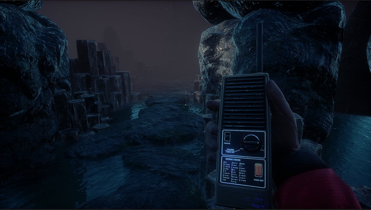 Conarium thumbnail 14