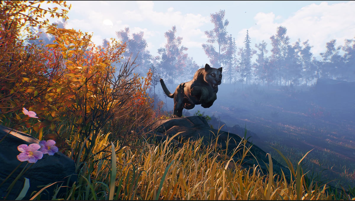 Open Country thumbnail 10