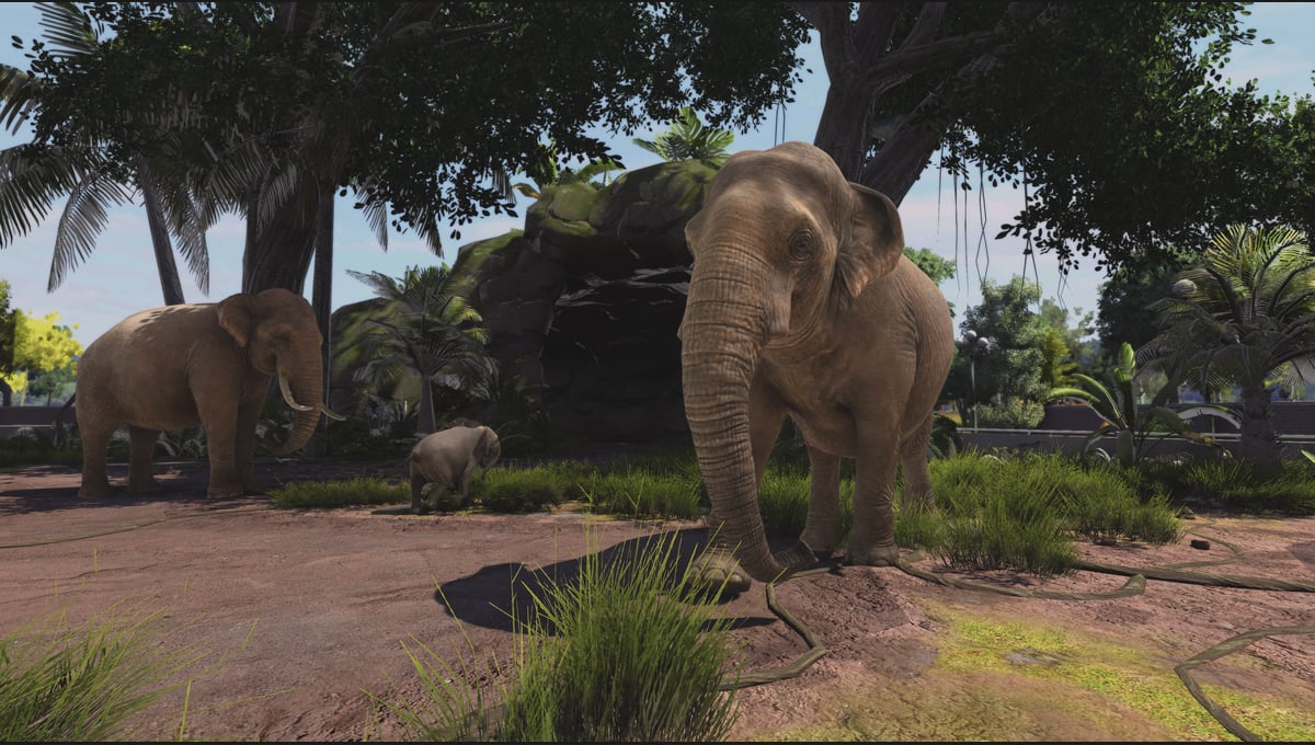 Zoo Tycoon: Ultimate Animal Collection thumbnail 6
