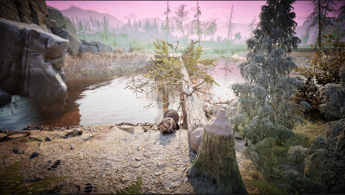 Winter Survival thumbnail 17