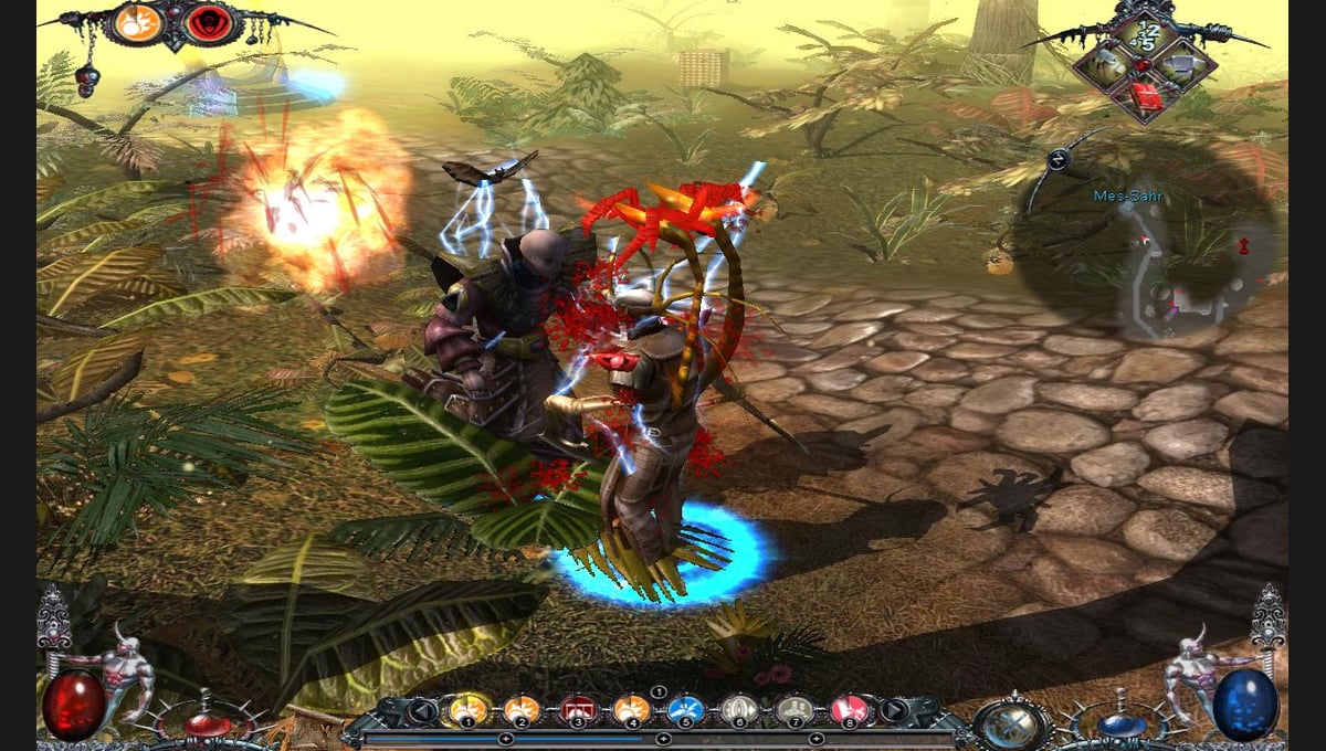 Dawn of Magic 2 thumbnail 8