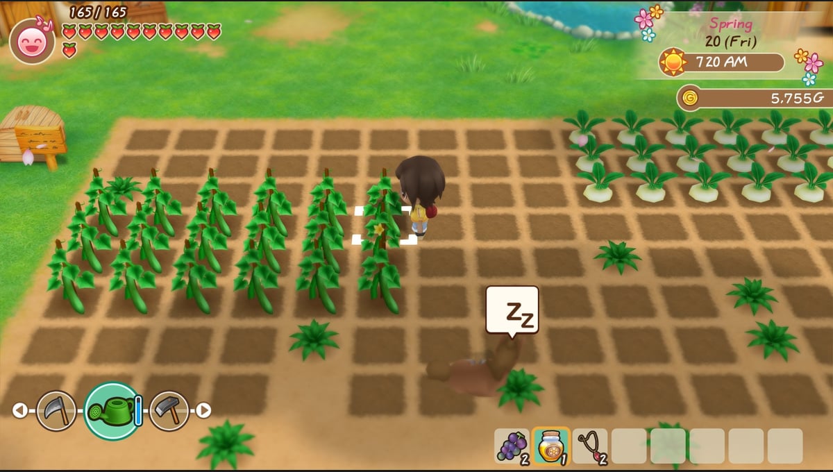 STORY OF SEASONS: Friends of Mineral Town thumbnail 3