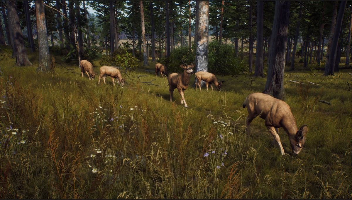 Way of the Hunter thumbnail 5