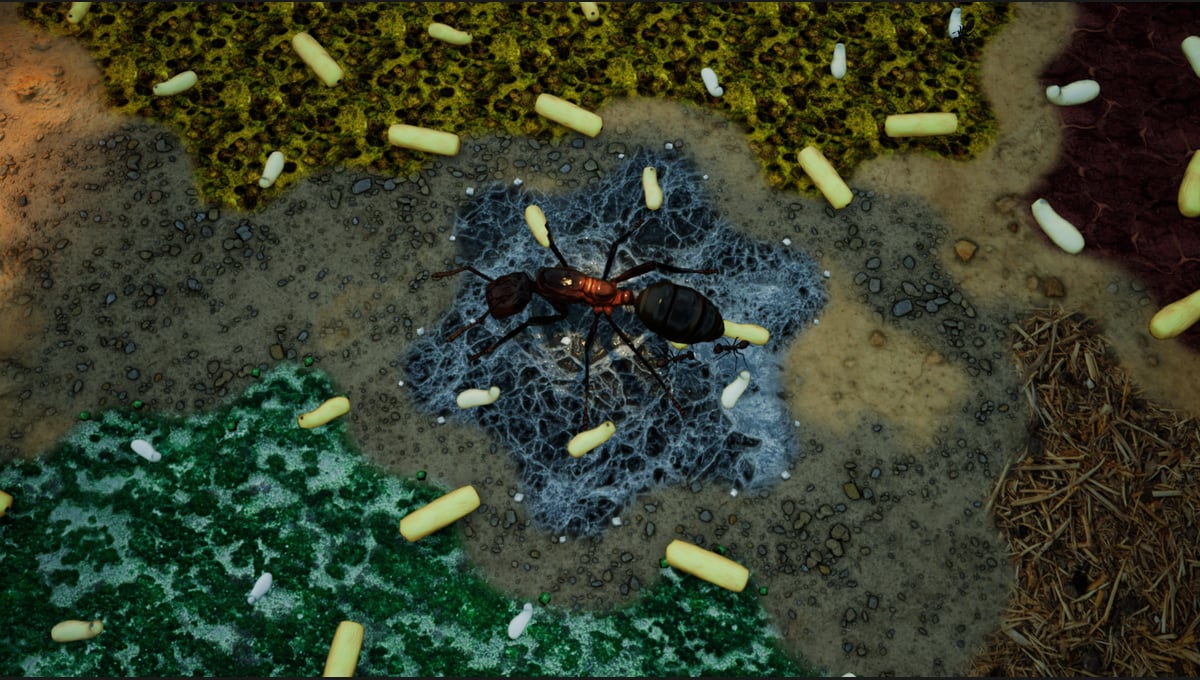 Empires of the Undergrowth - Exploding Ants thumbnail 9