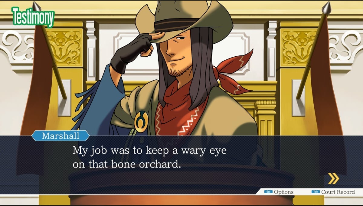 Ace Attorney Anthology thumbnail 2