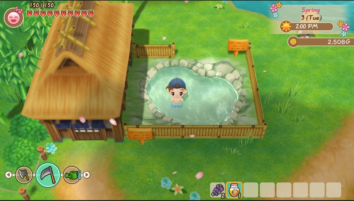 STORY OF SEASONS: Friends of Mineral Town thumbnail 10