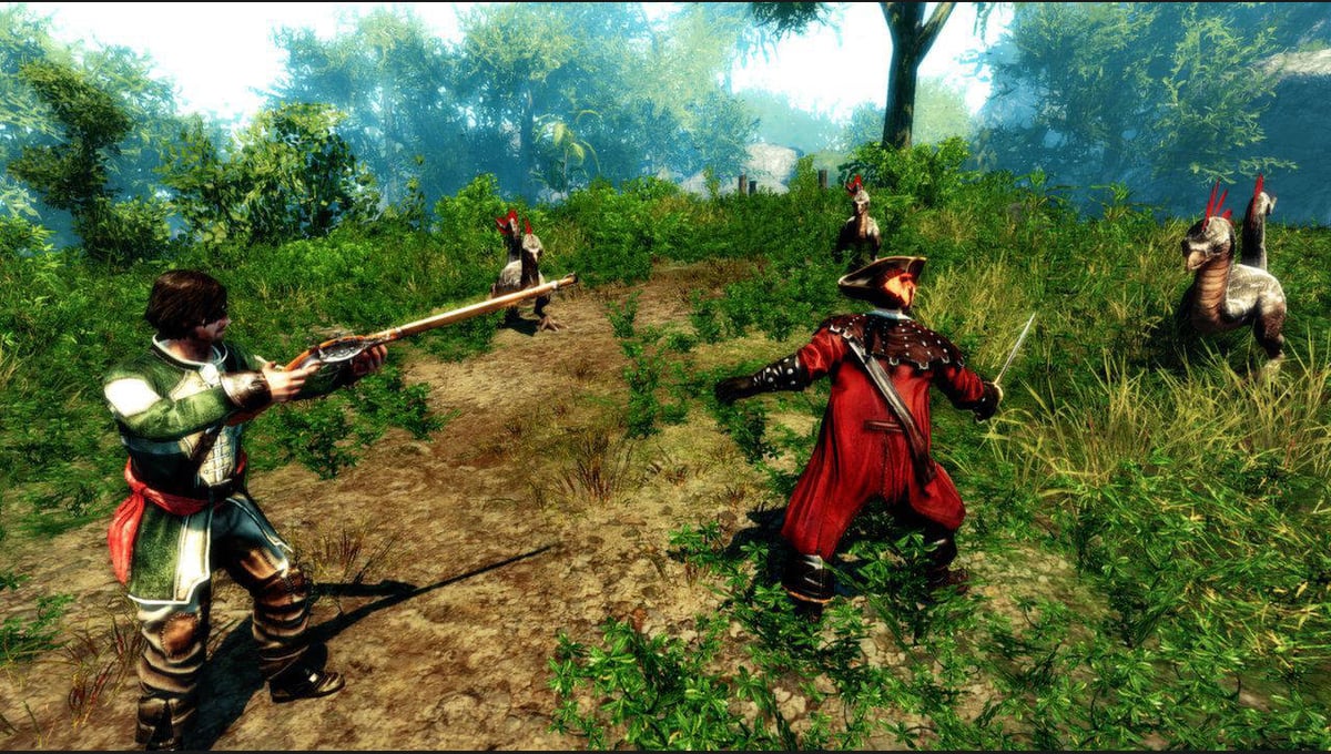 Risen 2: Dark Waters Gold Edition thumbnail 2