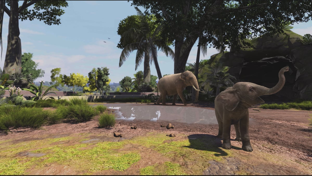 Zoo Tycoon: Ultimate Animal Collection thumbnail 5