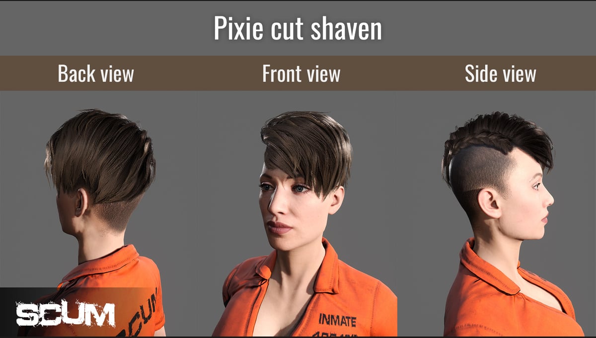 SCUM Female Hair Pack thumbnail 10