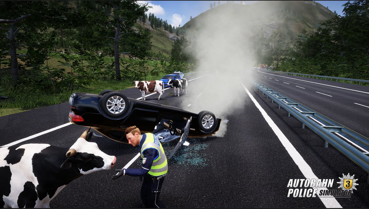 Autobahn Police Simulator 3 thumbnail 7