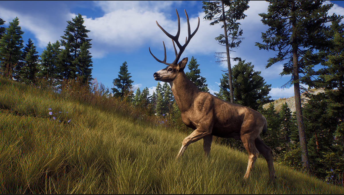 Way of the Hunter thumbnail 7