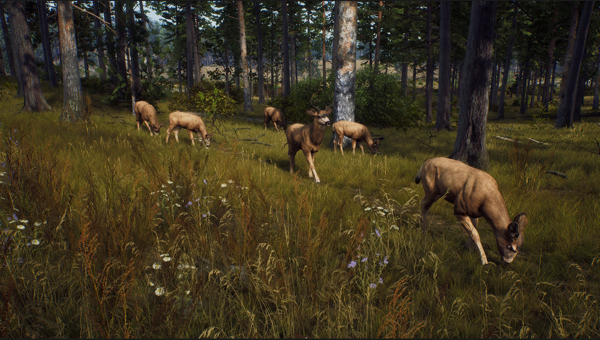 Way of the Hunter thumbnail 23