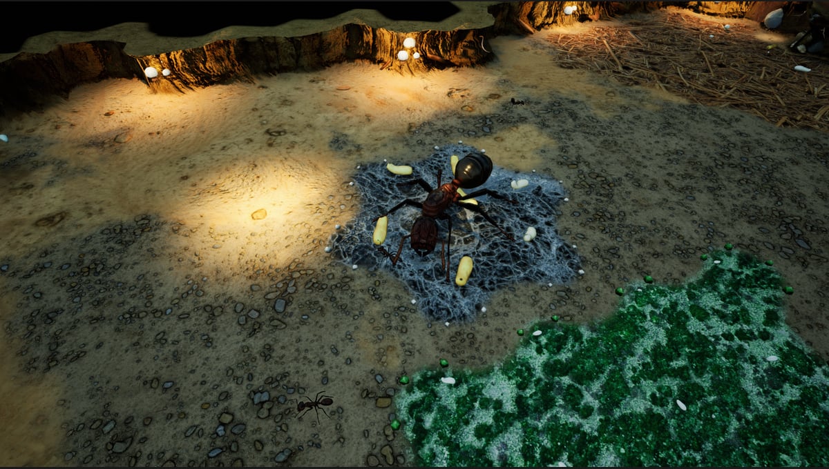 Empires of the Undergrowth - Exploding Ants thumbnail 14