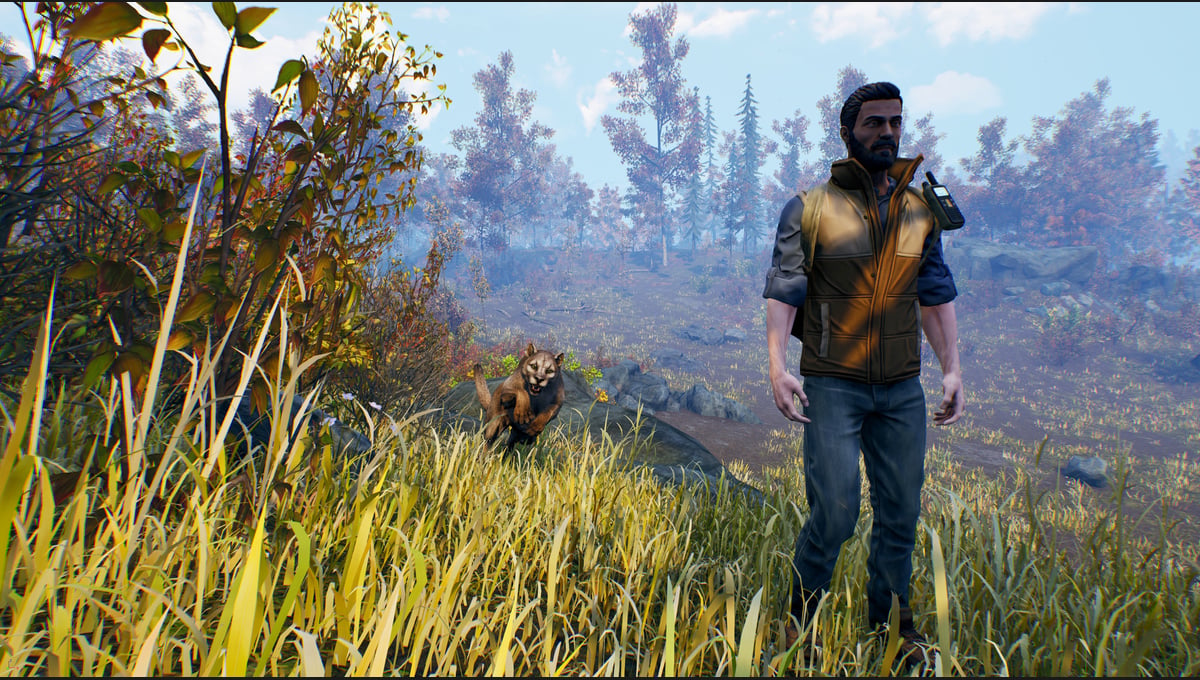 Open Country thumbnail 13