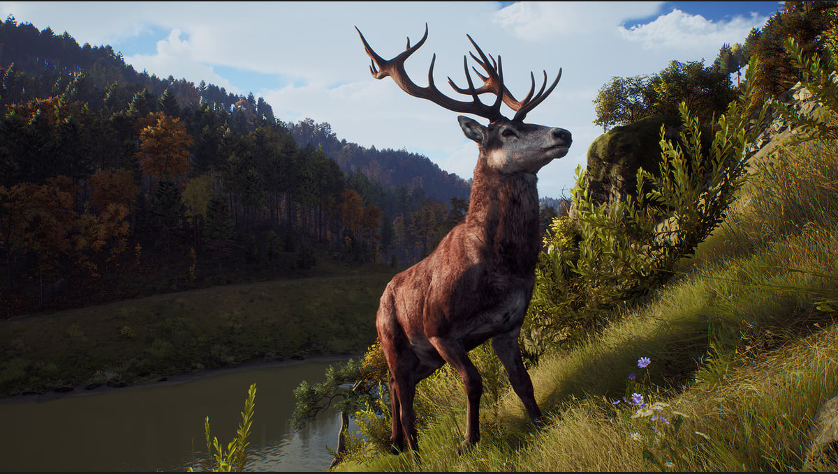 Way of the Hunter thumbnail 15