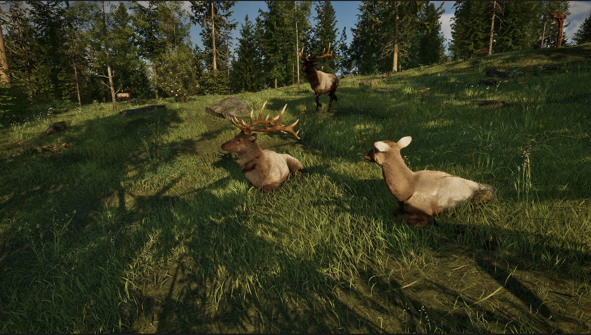 Ranger’s Path: National Park Simulator thumbnail 6