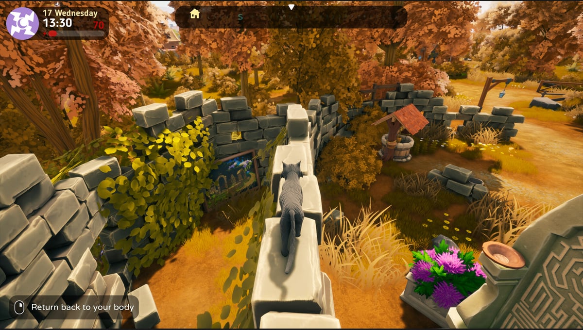 The Witch of Fern Island thumbnail 7
