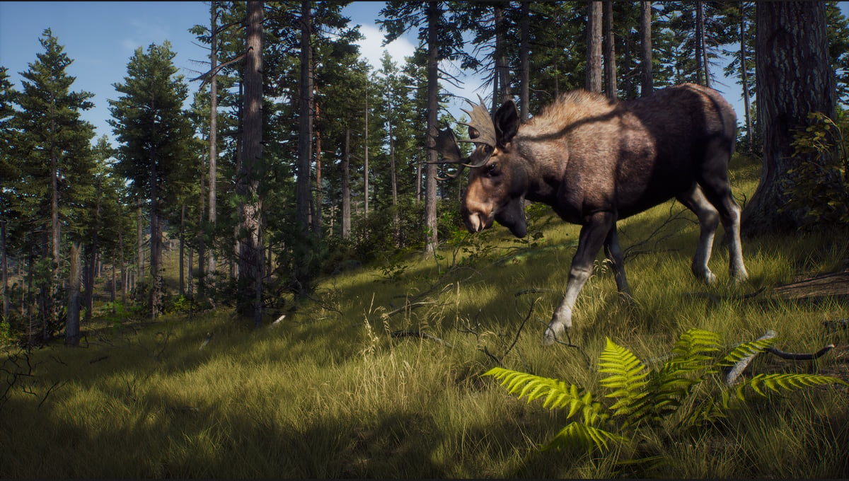 Way of the Hunter: Elite Edition thumbnail 6