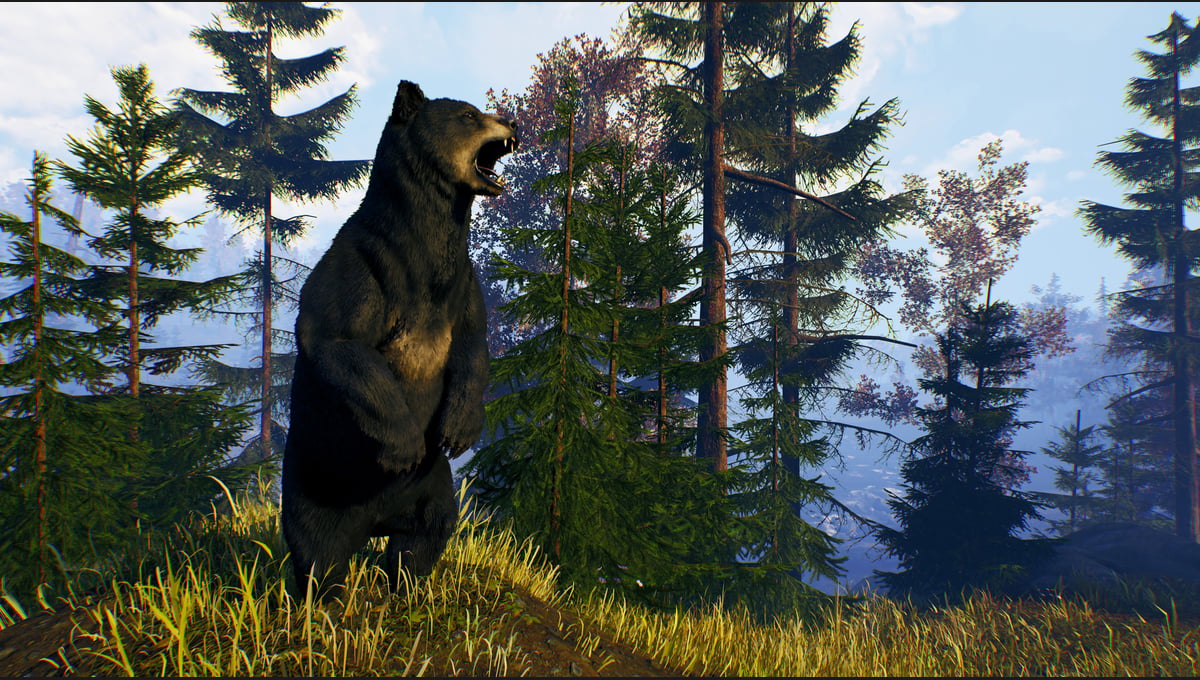 Open Country thumbnail 14