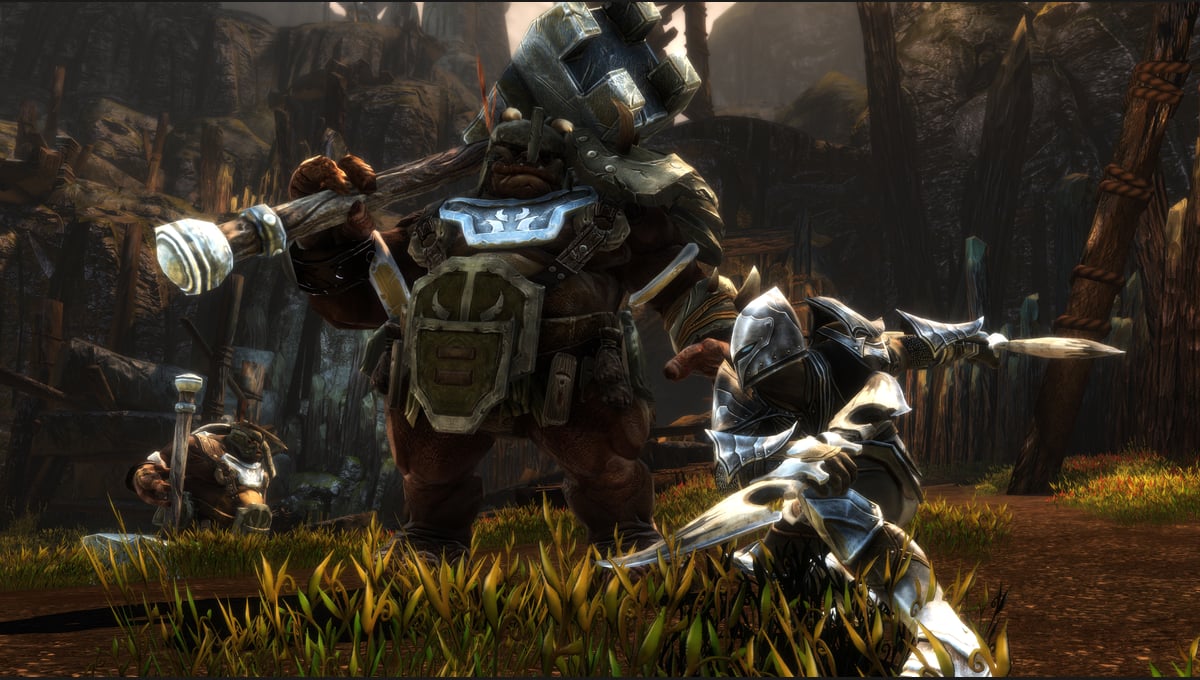 Kingdoms of Amalur: Re-Reckoning thumbnail 5