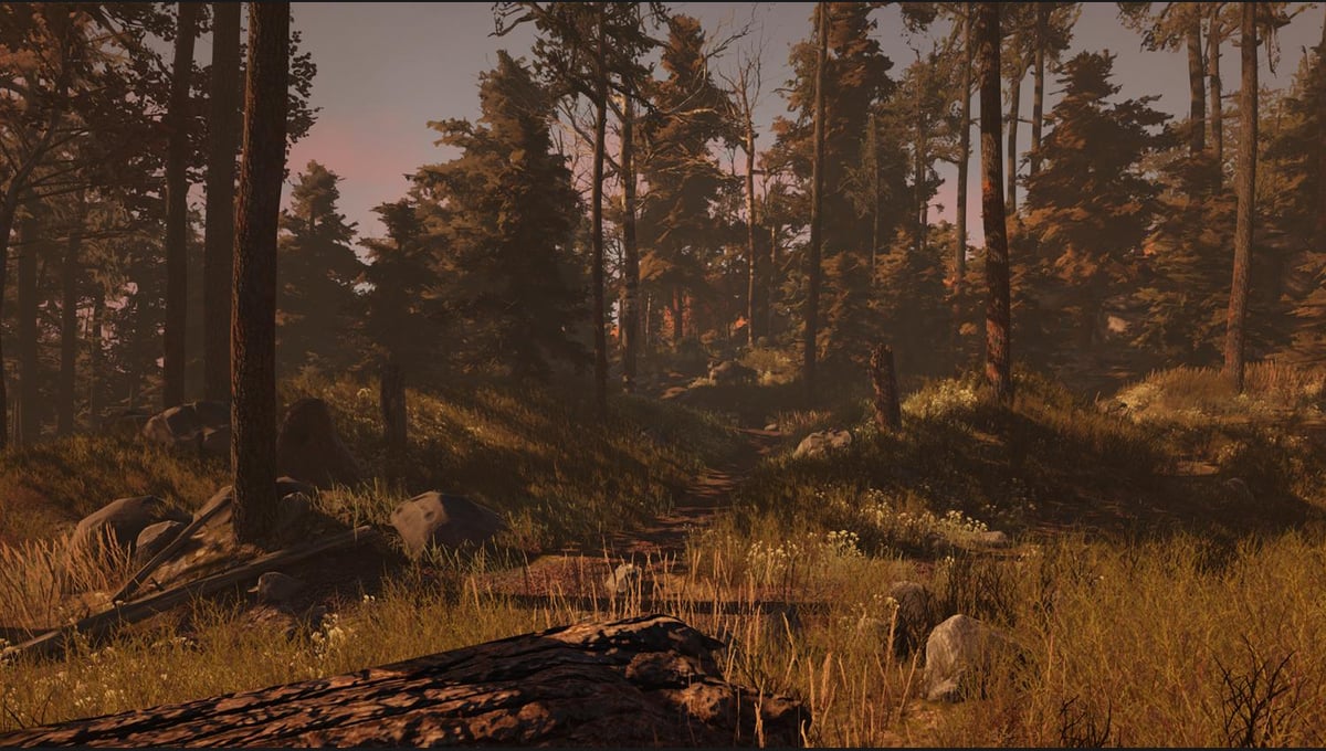 Through the Woods thumbnail 8