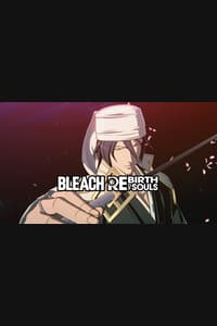 BLEACH Rebirth of Souls - Thousand-Year Blood War Costume Set