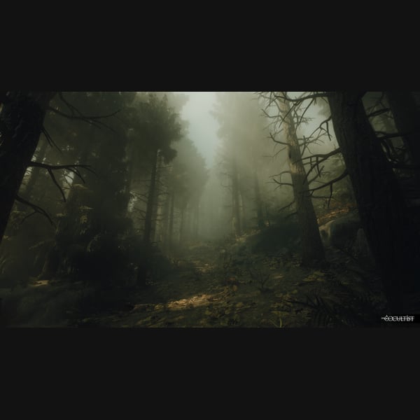 The Occultist thumbnail 9